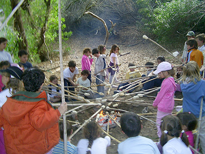 Camping Medano 40. Campamento Colegios en la Playa. Fogon.