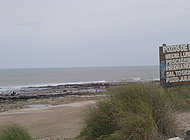 Camping Medano 40. Playa. Campamento Colegios. Seguridad. Diversion. Fogon. Chicos.