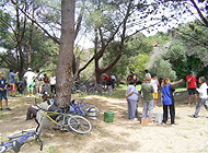 Camping Medano 40. Playa. Campamento Colegios. Seguridad. Diversion. Fogon. Chicos.