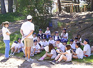 Camping Medano 40. Playa. Campamento Colegios. Seguridad. Diversion. Fogon. Chicos.