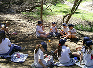 Camping Medano 40. Playa. Campamento Colegios. Seguridad. Diversion. Fogon. Chicos.