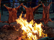 Camping Medano 40. Corderos al Asador Noche.