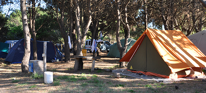 Camping Medano 40. Parcelas Arboladas.