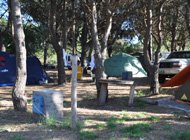 Camping Medano 40. Parcelas Arboladas Sombra Electricidad.