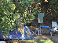 Camping Medano 40. Parcelas Arboladas Sombra Electricidad.