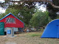 Camping Medano 40. Parcelas Arboladas. Sombra Electricidad.