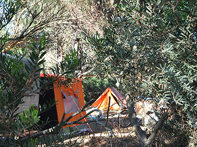 Camping Medano 40. Parcelas Arboladas.